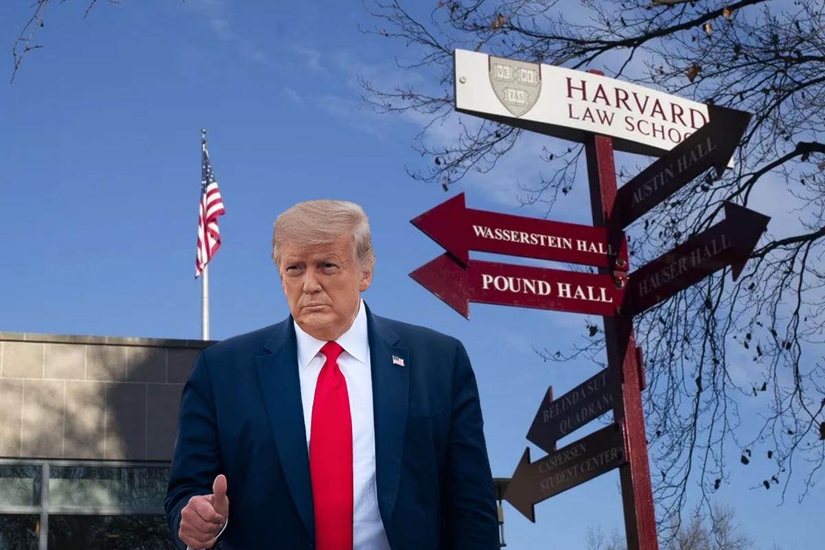 Estados Unidos suspende las entrevistas para emisión de visas de estudiantes extranjeros