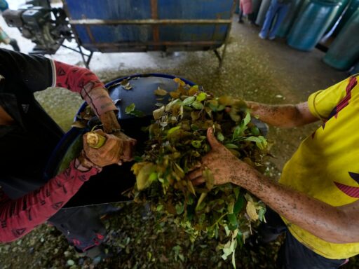Colombia afianza su título como el mayor productor de cocaína a nivel mundial