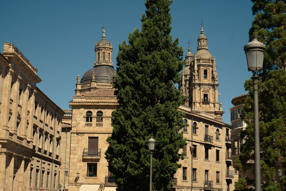 elección del papa León