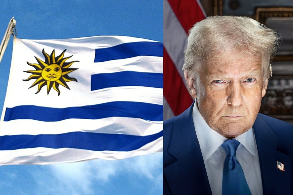 Uruguay tiene las “tierras raras” que tanto busca Donald Trump: valen miles de millones