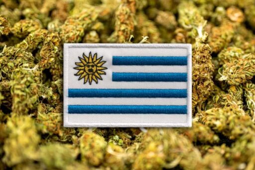 Uruguay busca vender marihuana legal a turistas, estudiantes o trabajadores extranjeros