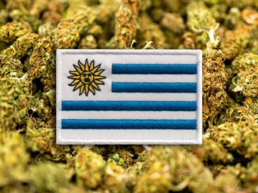 Uruguay busca vender marihuana legal a turistas, estudiantes o trabajadores extranjeros
