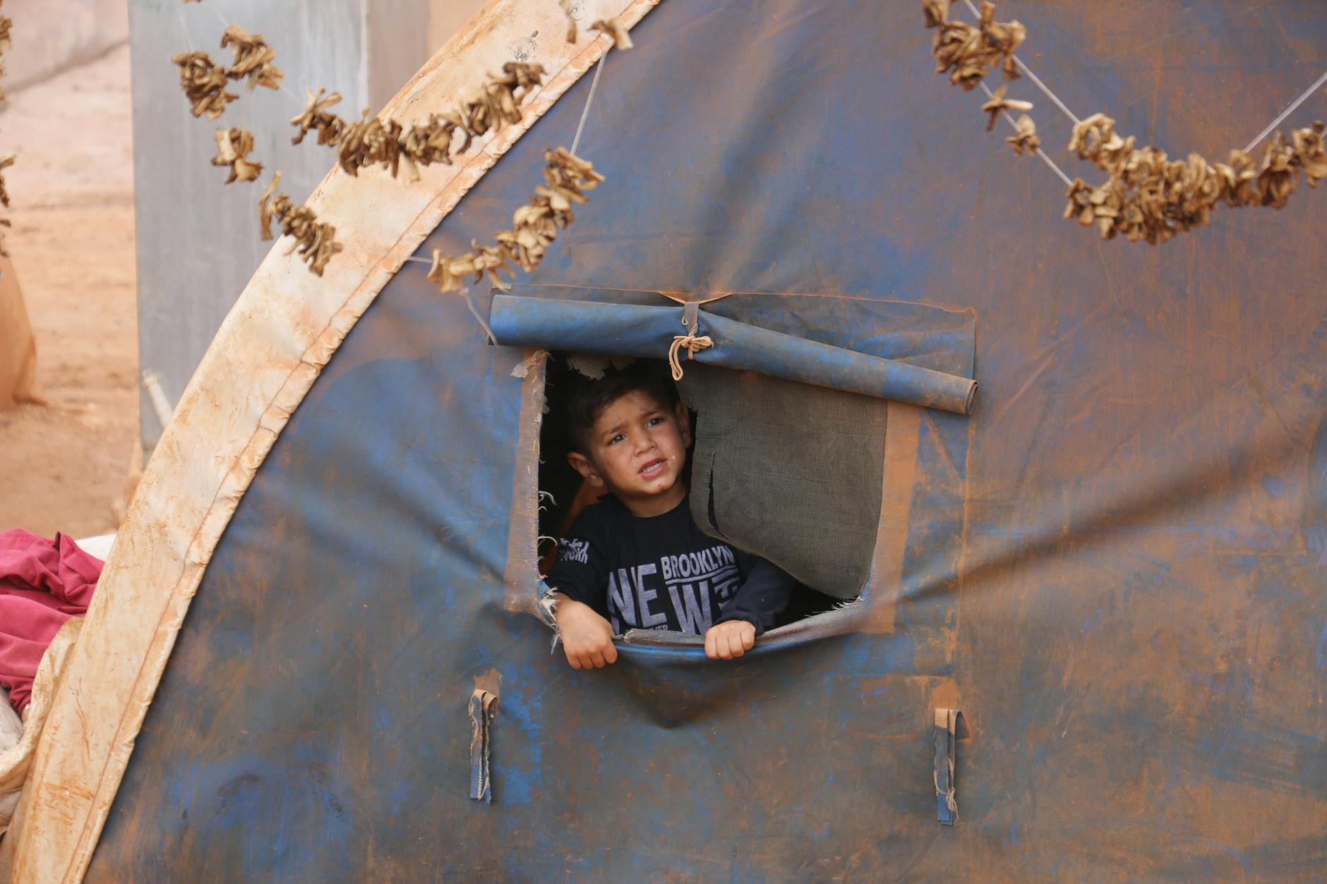israel gaza impacto humanitario