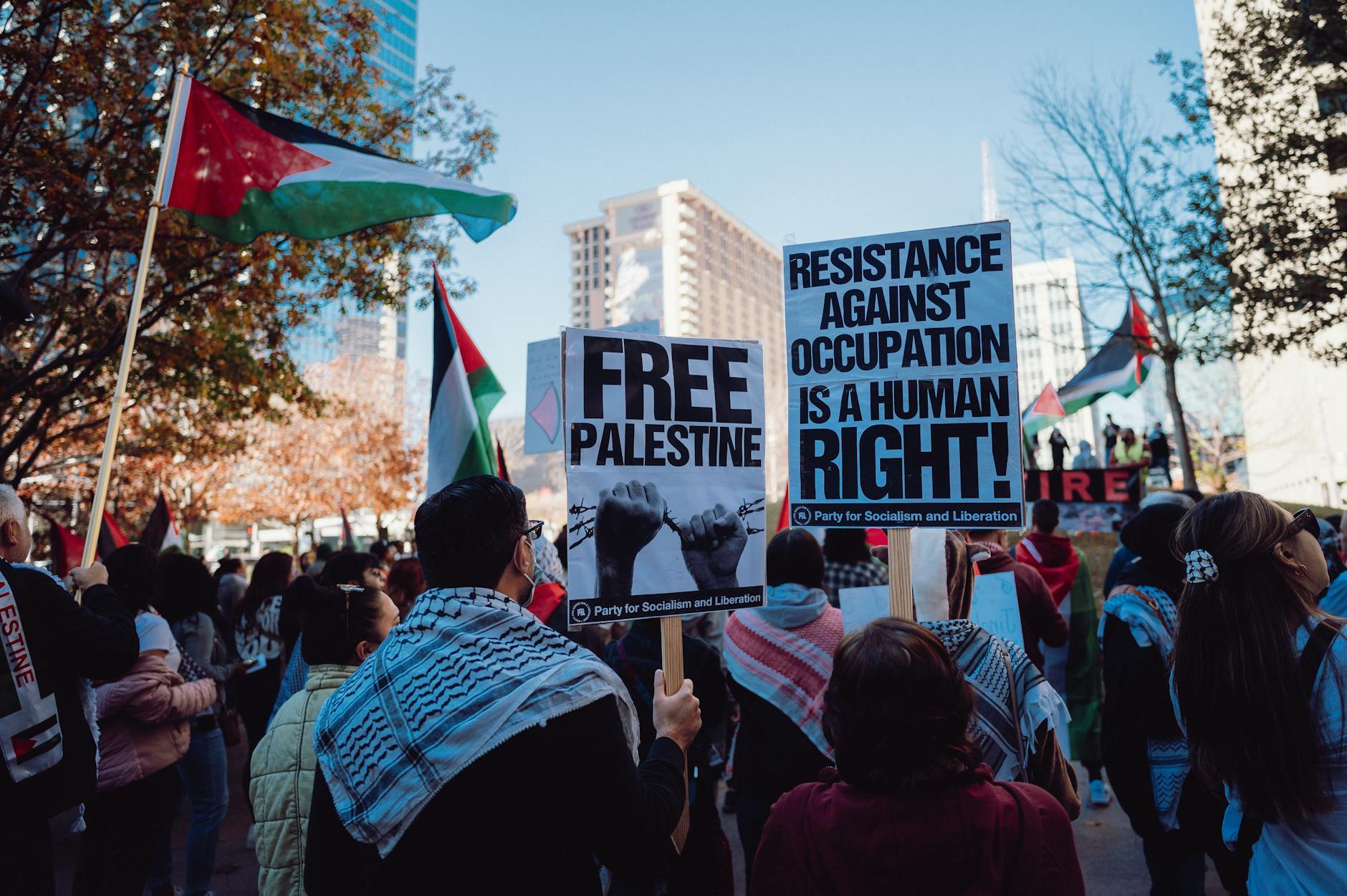 israel gaza impacto humanitario