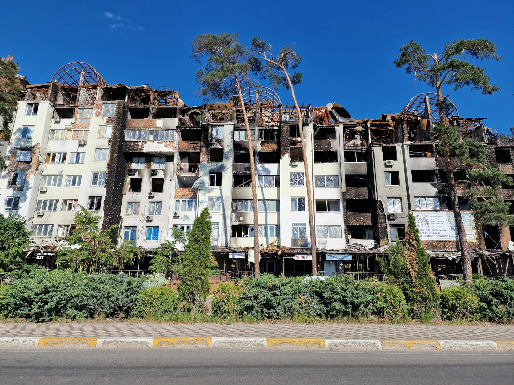 ucrania rusia impacto humanitario