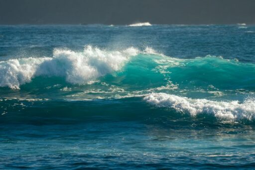 Dina Boluarte firma “Tratado de Alta Mar” en Cumbre de los Océanos 2025 ¿En algo afectará a Perú?