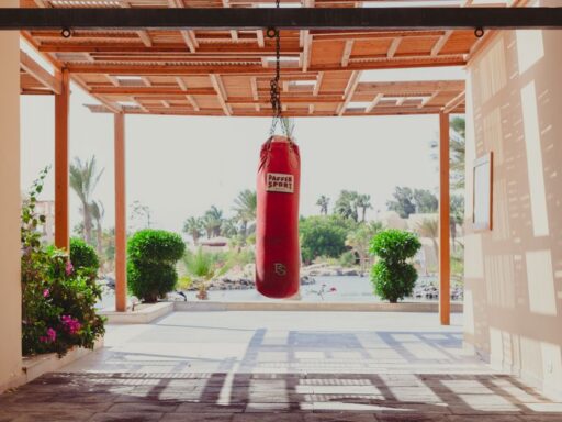 ICE detiene al boxeador Julio César Chávez Jr.