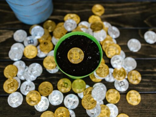 Top 10: Los países con las mayores reservas de Bitcoin a nivel mundial