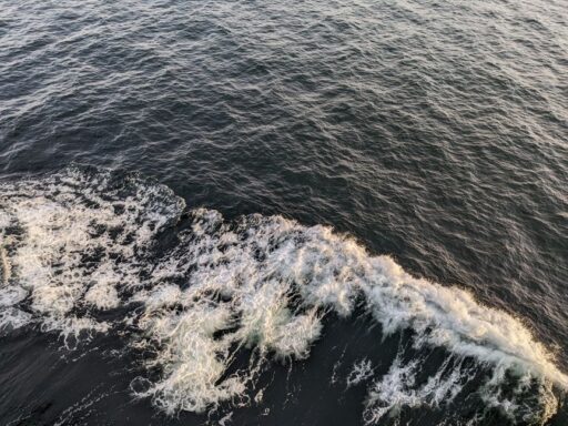 Alerta de Tsunami tras terremoto de 7.3 en Alaska