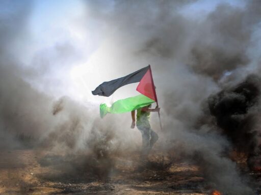 ONG israelíes también denuncian el genocidio en Gaza