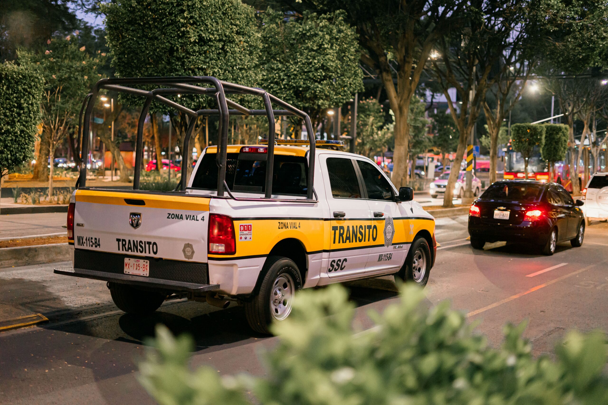 seguridad publica - La respuesta de la policía