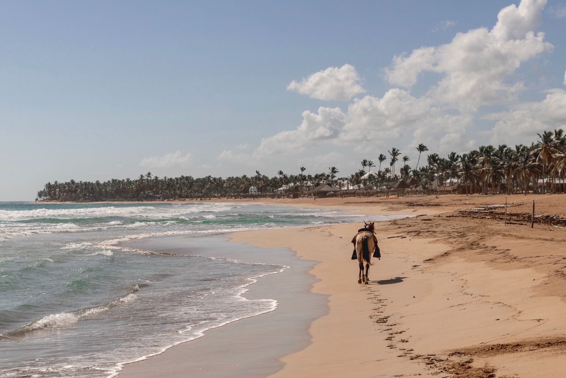 República Dominicana recupera droga de lancha destruida por Estados Unidos