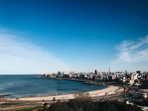 Uruguay no necesita fuerzas armadas