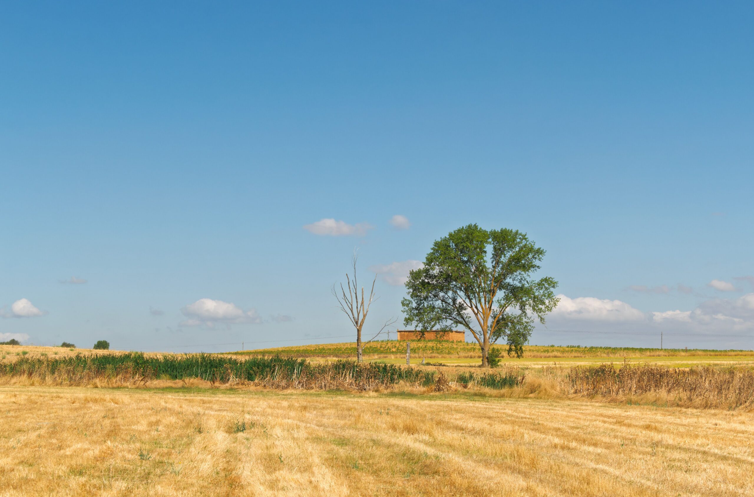 Invertir Uruguay - La cancha uruguaya: un terreno fértil para las inversiones