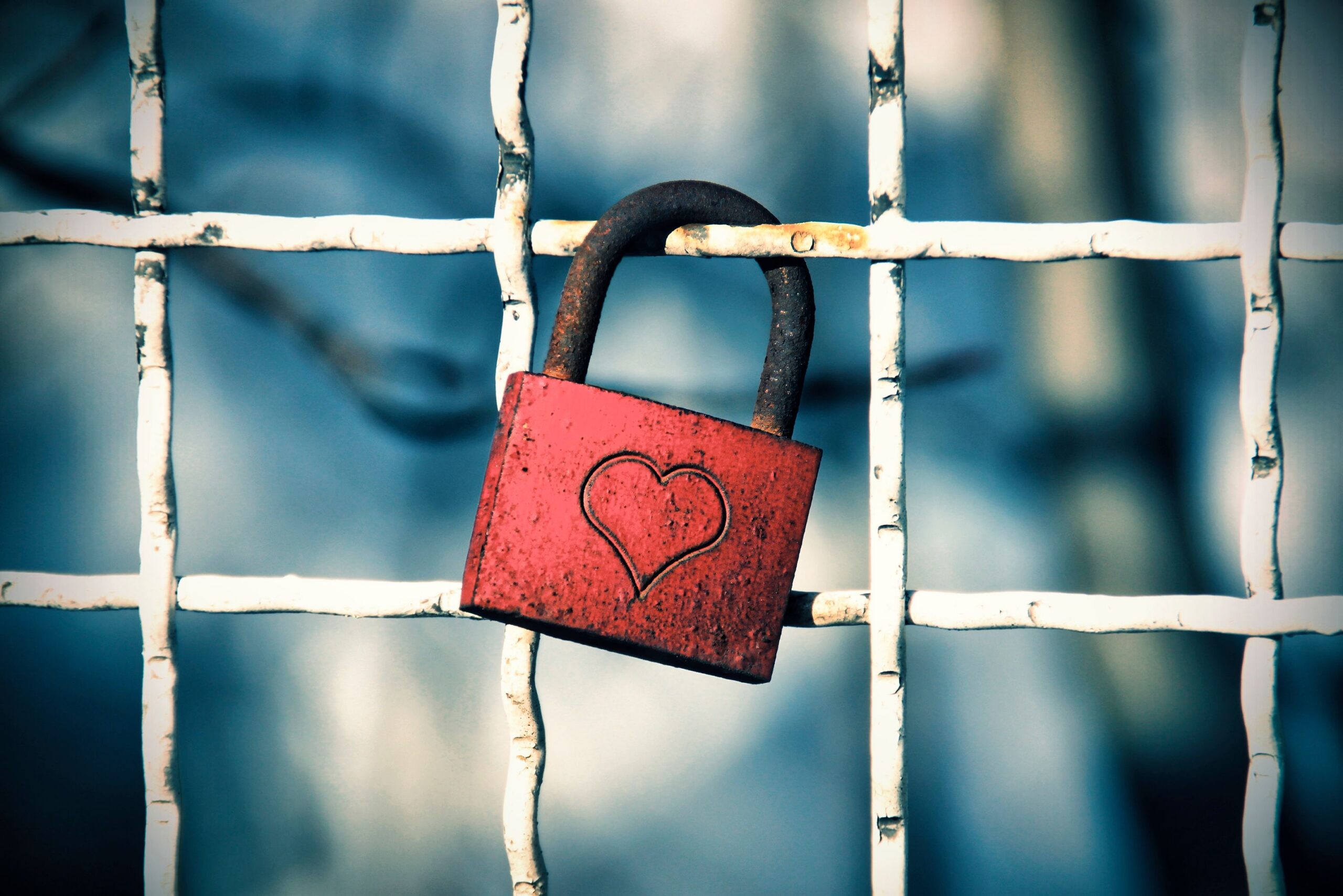 trabajo remoto - La seguridad y la privacidad en el trabajo remoto