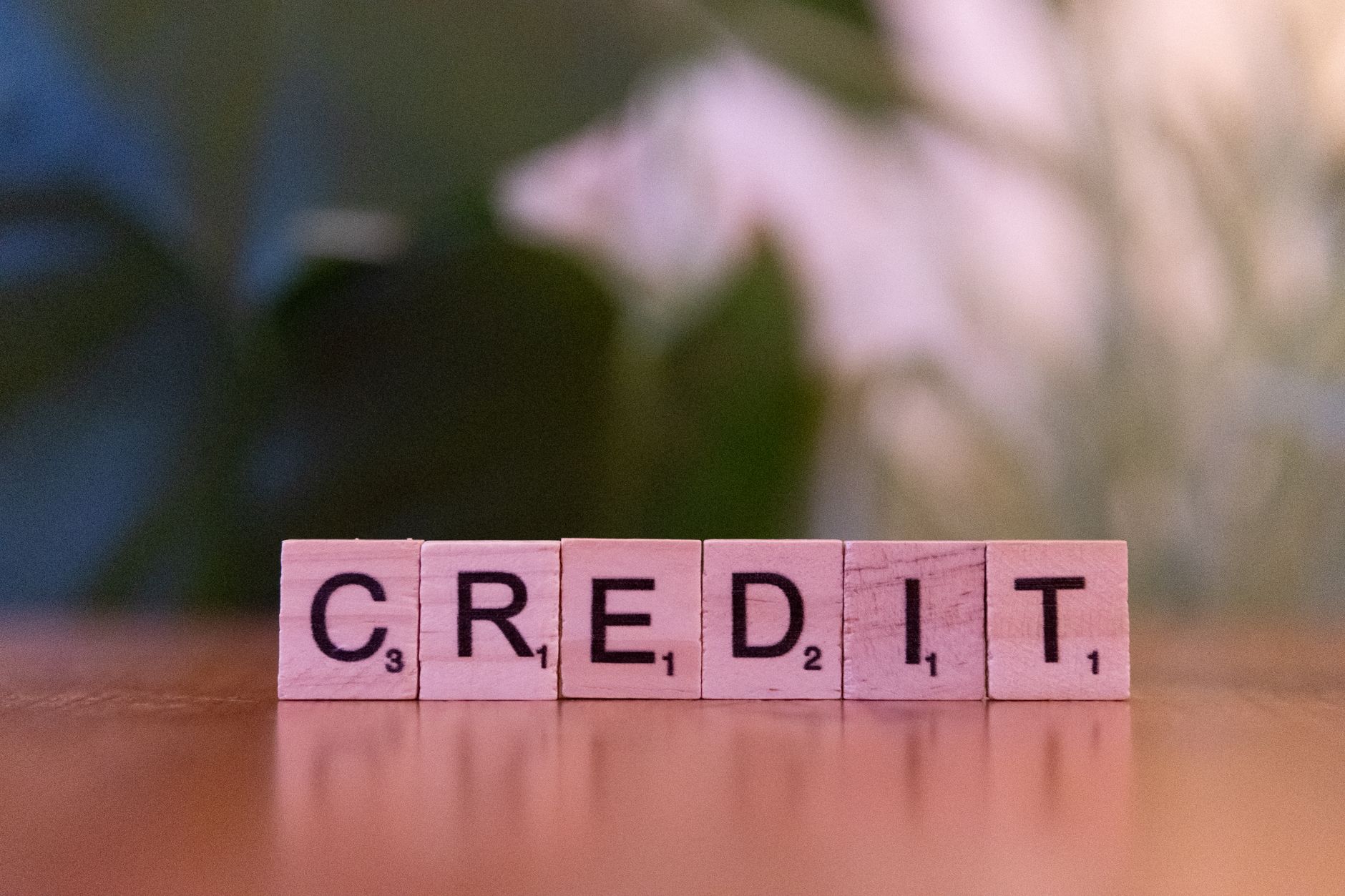 Construir Credito Desde Cero