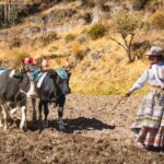 7 Oraciones para superar la adversidad — Impactante
