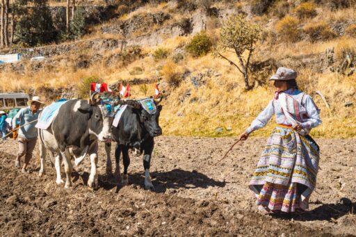 7 Oraciones para superar la adversidad