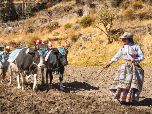 7 Oraciones para superar la adversidad