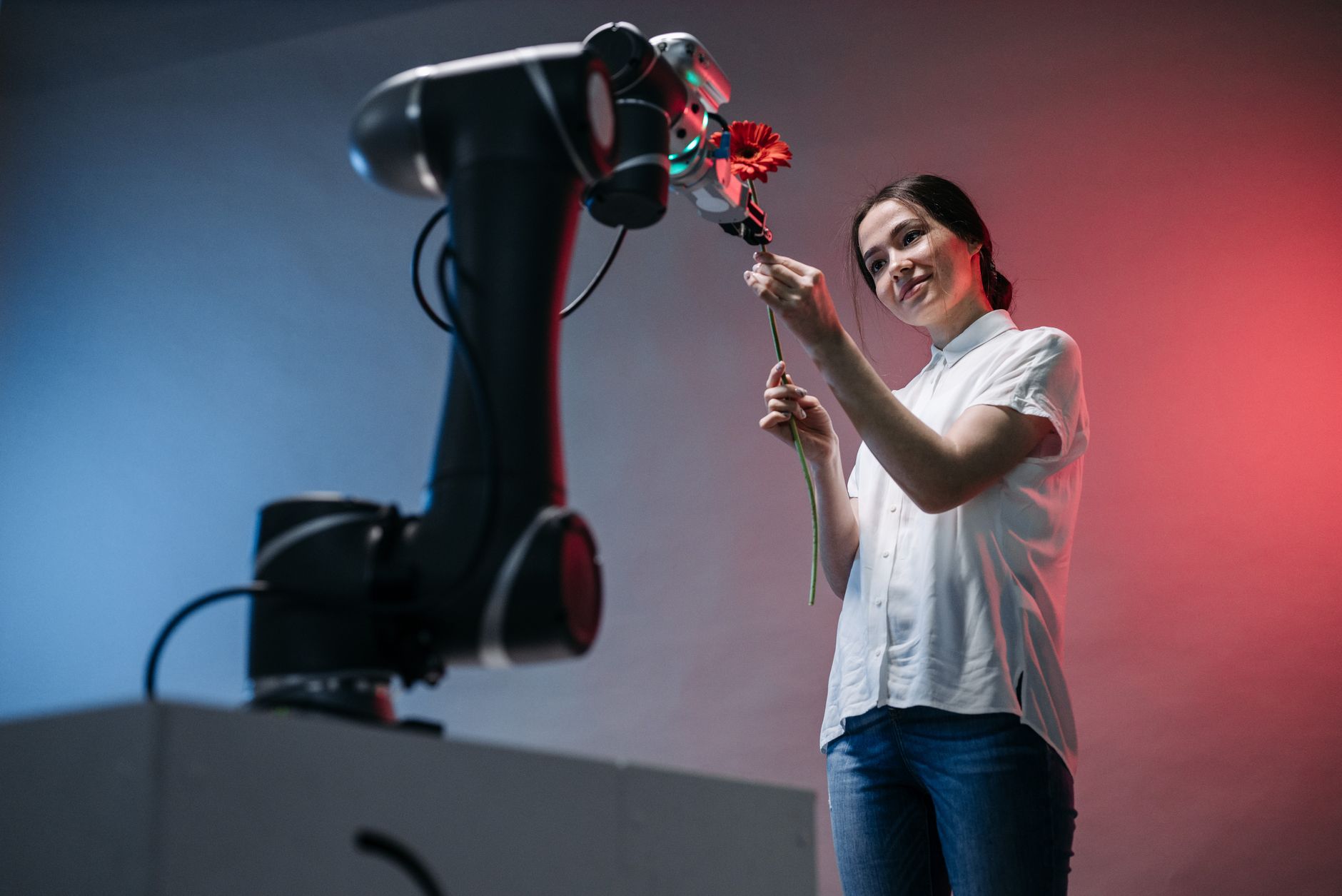 futuro - El impacto de la inteligencia artificial en la sociedad