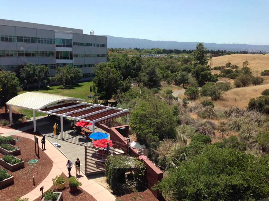 Google lanza AI que enseña sobre redes de criptomonedas — Urgente 2026