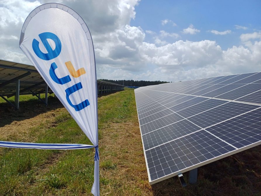 UTE recibe 13 ofertas de empresas nacionales y extranjeras para la construcción de nuevo parque solar en Fray Bentos
