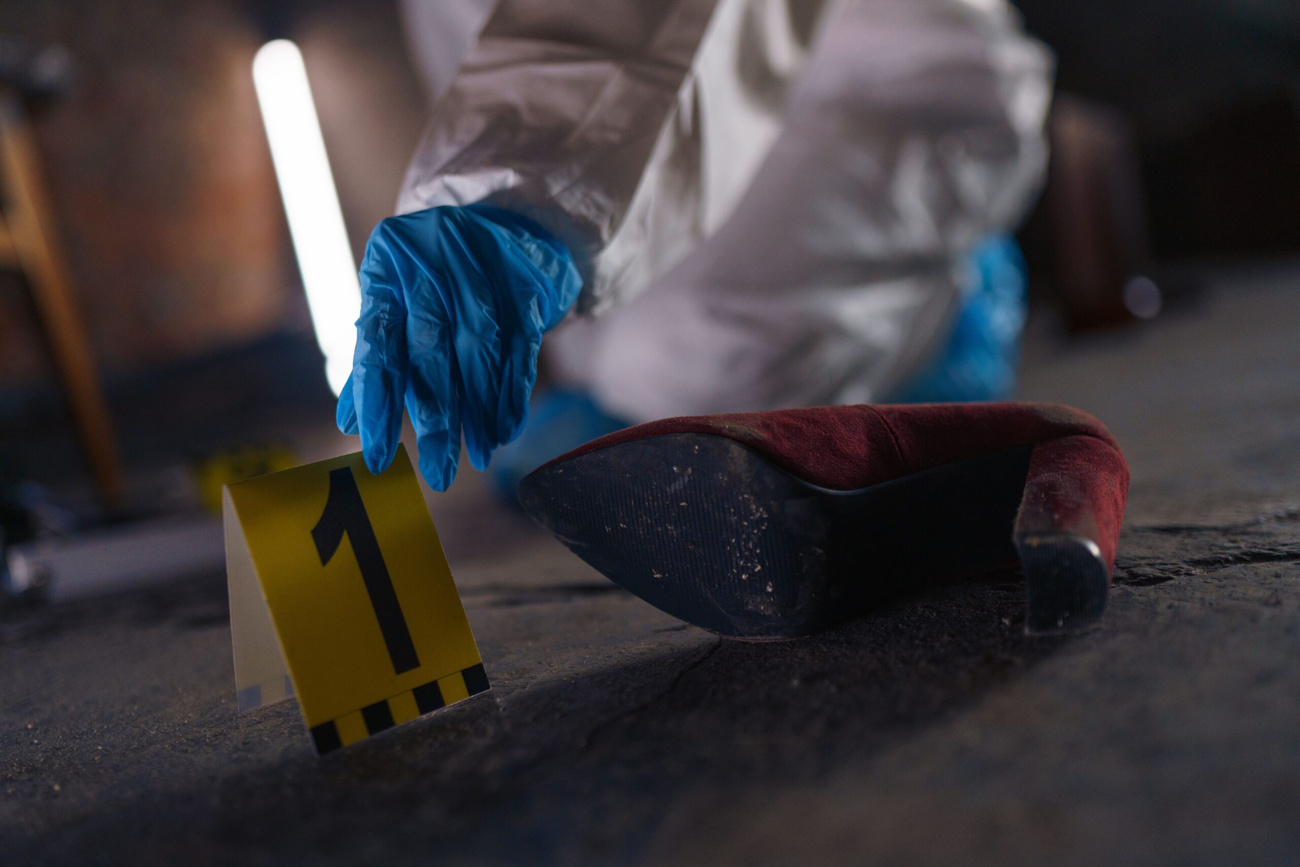 toledo chico - El papel de las tecnologías de análisis forense en la investigación