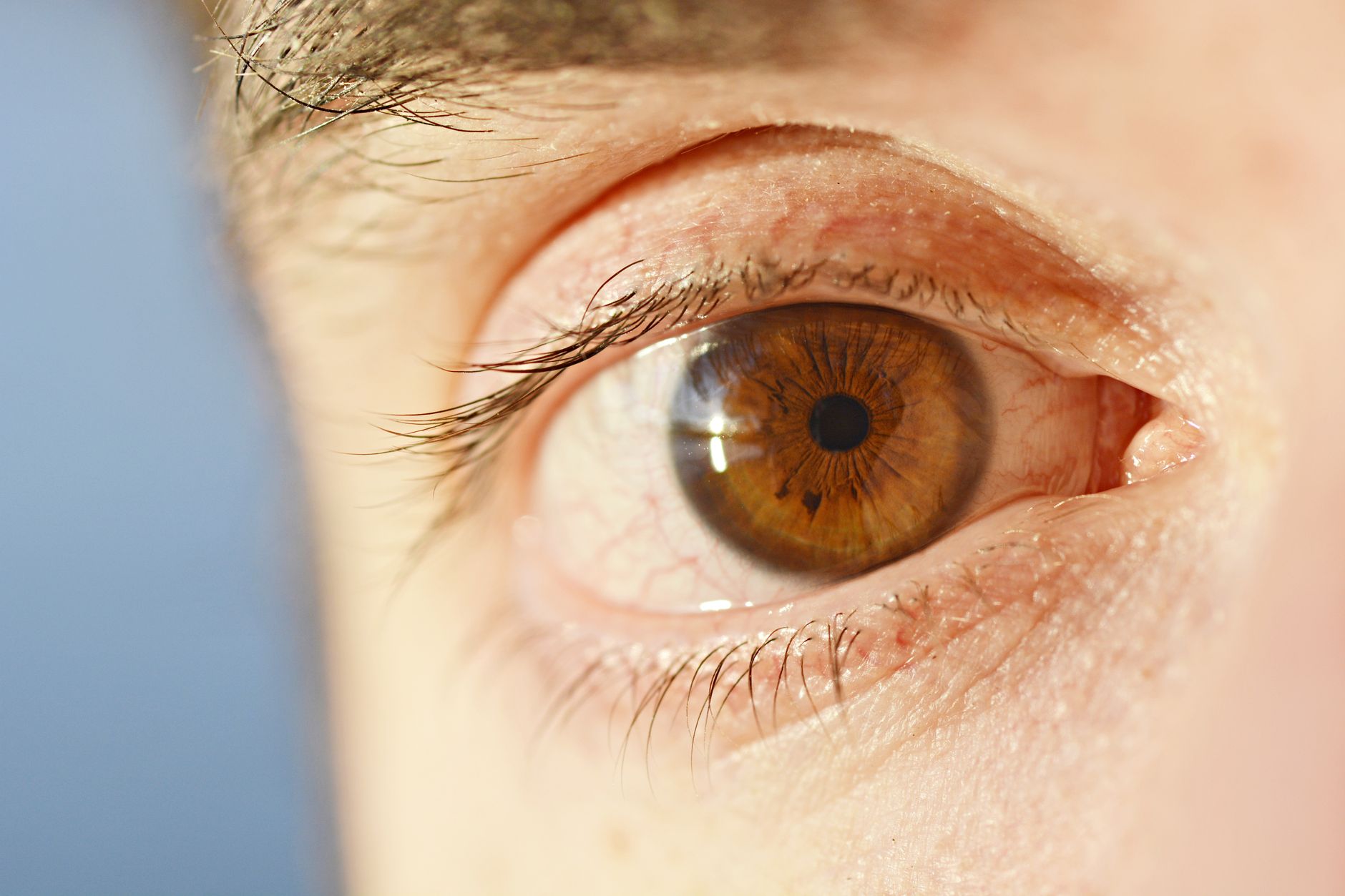 ciego del ojo humano