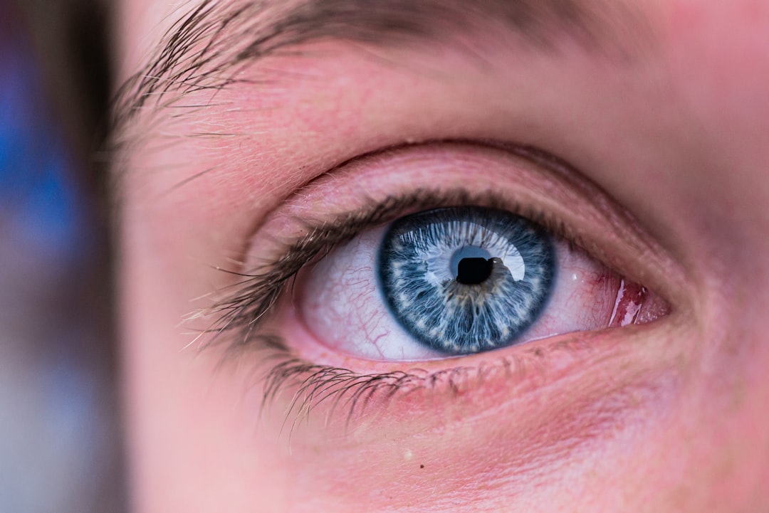 ciego del ojo humano