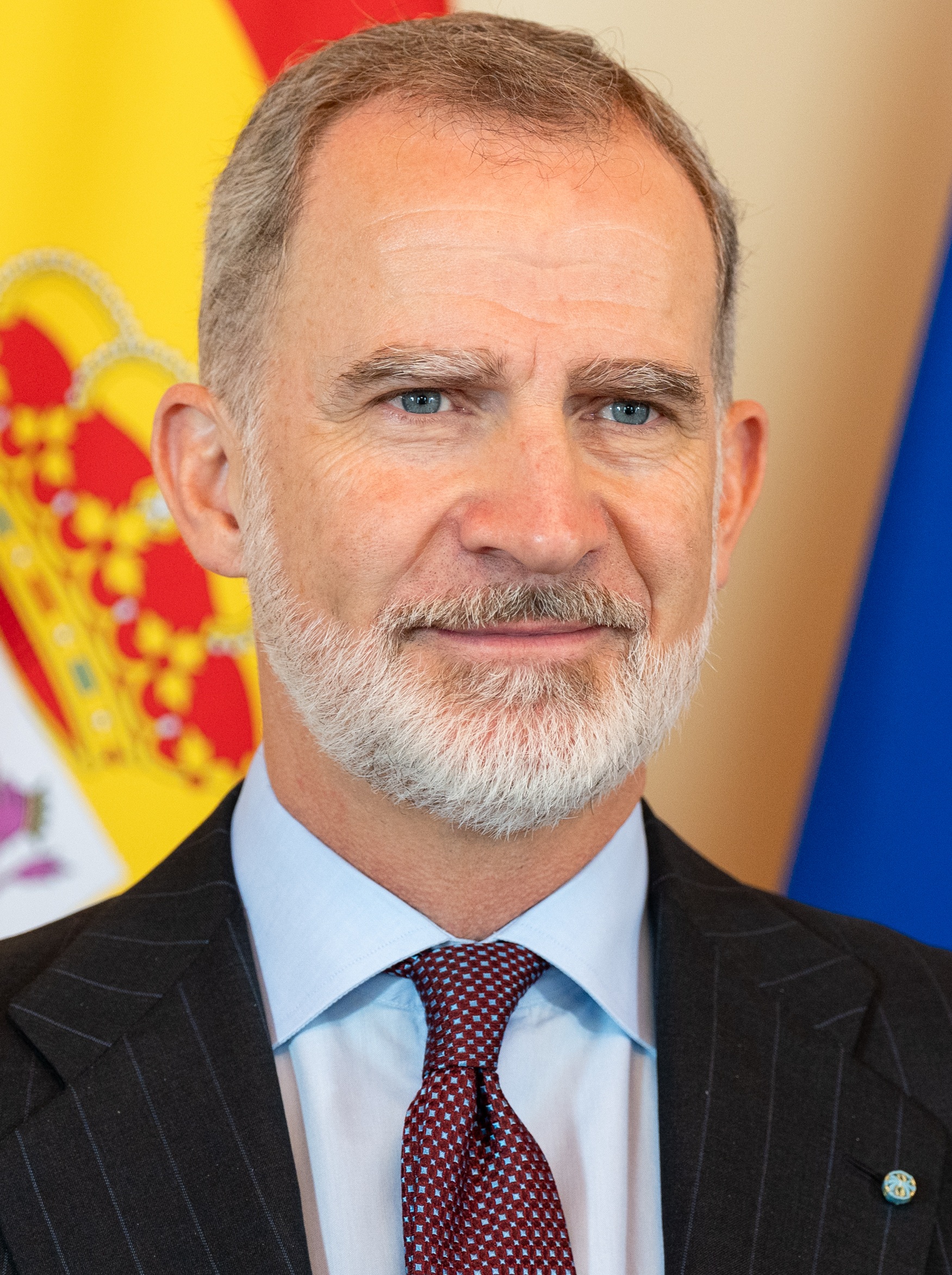 Rey Felipe VI de España