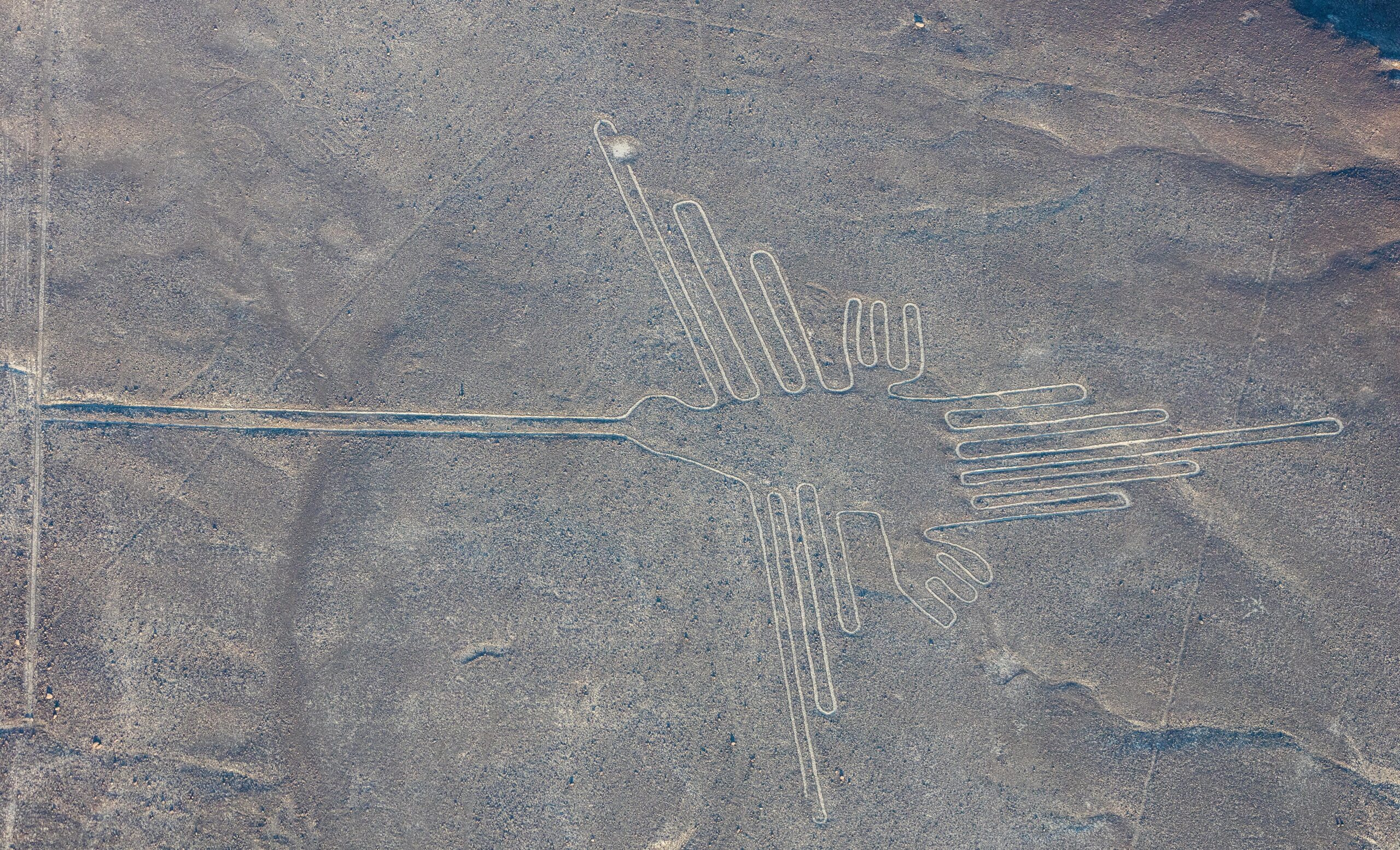 líneas de nazca