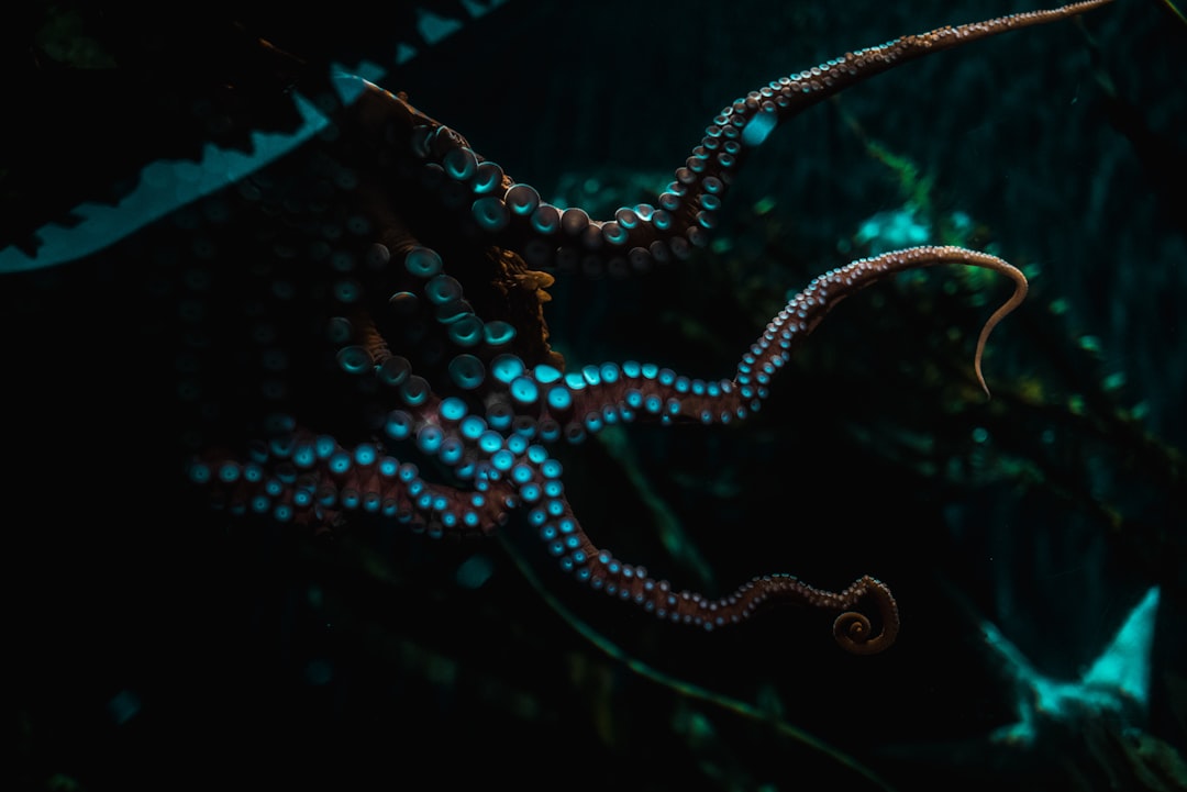pulpo mimético