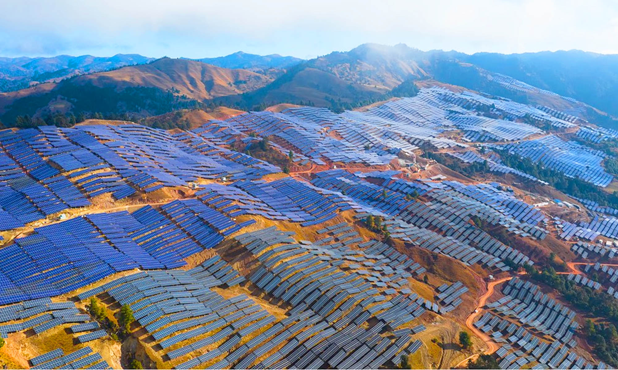 5 claves de la expansión solar masiva en China y su impacto inesperado en la biodiversidad