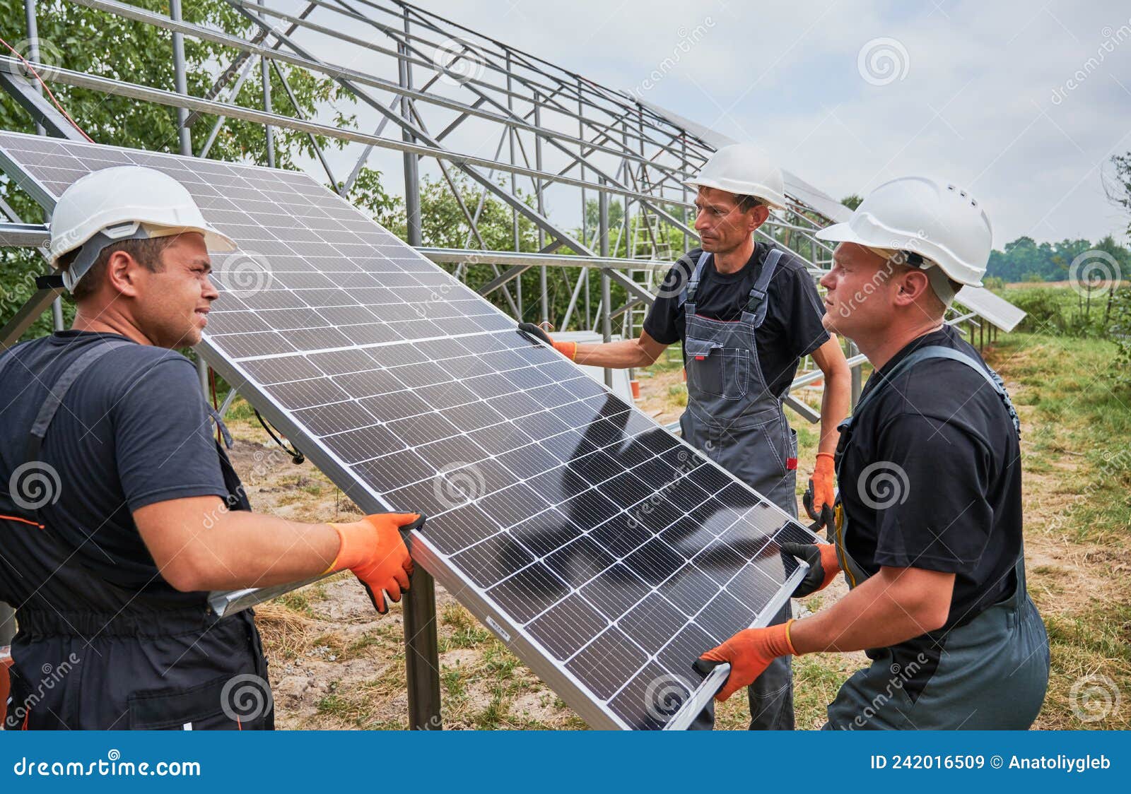 5 claves de la expansión solar masiva en China y su impacto inesperado en la biodiversidad