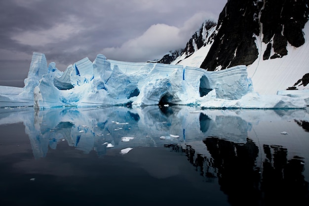 6 datos fascinantes sobre la foca de Weddell y su vida polar