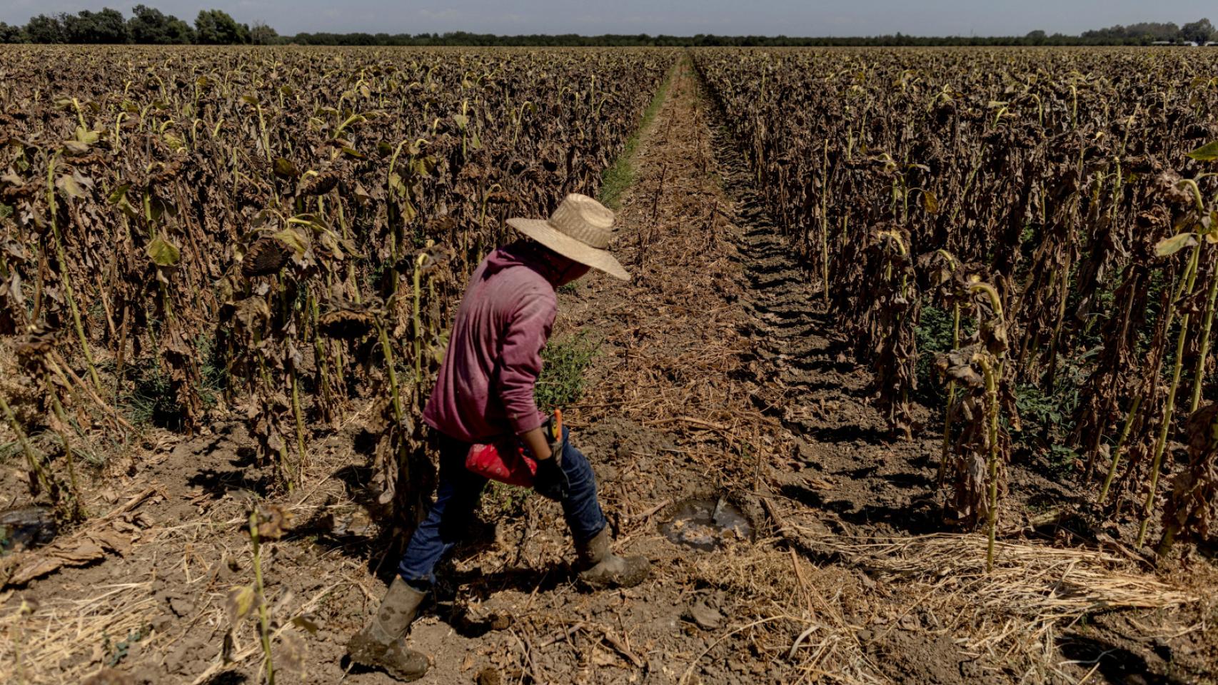 Advierten que lo peor del Niño aún no ha llegado a Uruguay