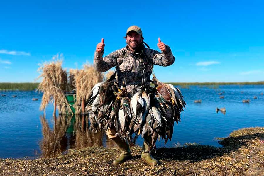 Ambiente suspendió caza de tres especies de patos hasta demostrar sustentabilidad