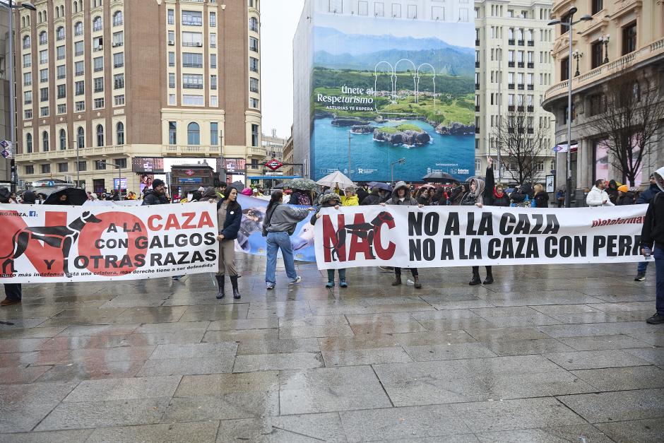 Ambiente suspendió caza de tres especies de patos hasta demostrar sustentabilidad