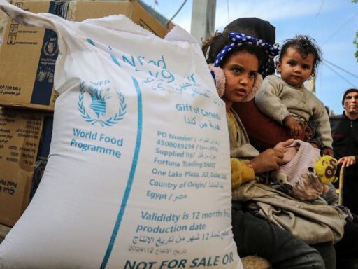 Ataque contra almacén de ayuda nutricional agrava la crisis en Gaza