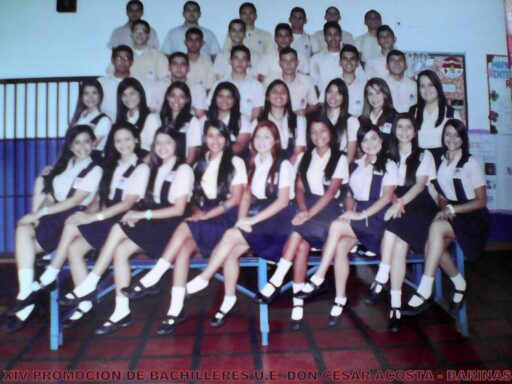 bachilleres de barinas
