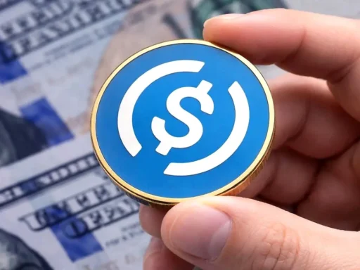 Binance impulsa a USDC: el nuevo empuje de Circle en la carrera de stablecoins