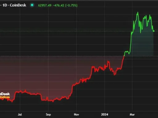 Bitcoin rompe $80,000: ¿Qué implican $220 M en liquidaciones cortas?