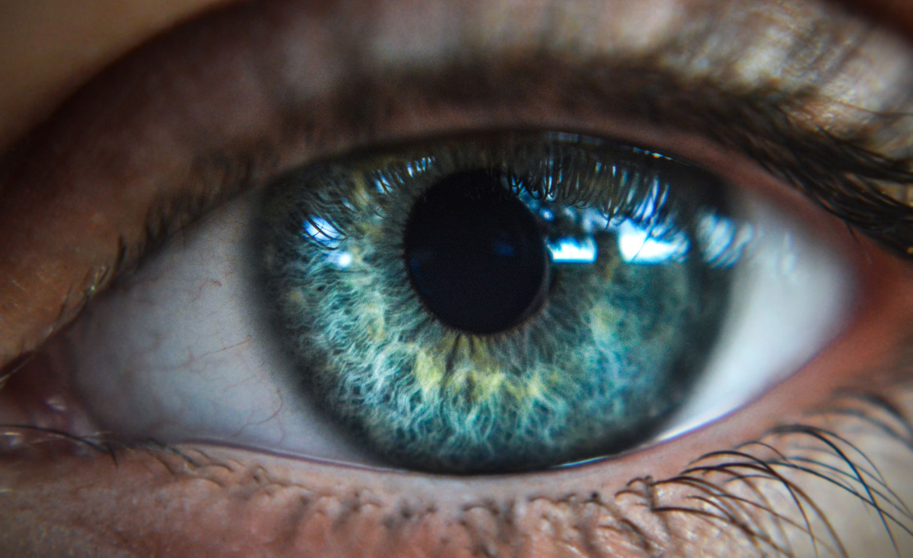 ciego del ojo humano