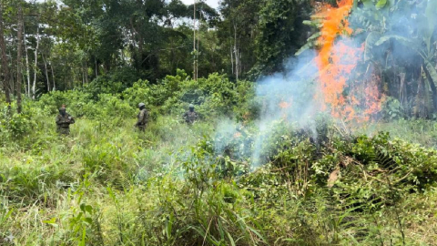 Colombia consolida su posición como líder mundial en la producción de cocaína