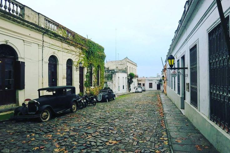 Colonia prohibirá cuidacoches en su departamento