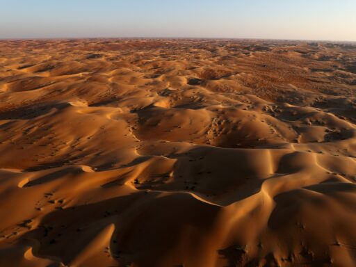 Imagen ilustrativa de Qué se experimenta al adentrarse en un desierto y por qué el calor puede volverse extremo - Infobae