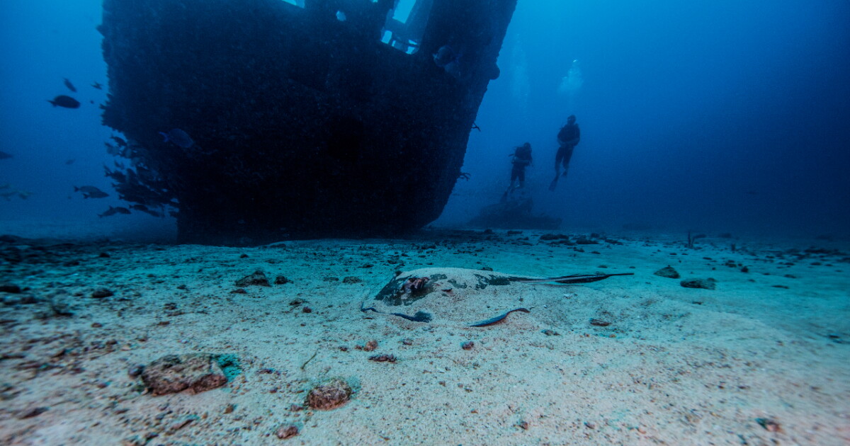 El hallazgo del Mary Celeste: 3 relatos que siguen sin respuesta