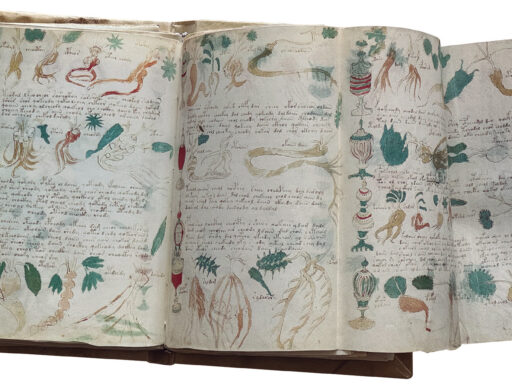 El Manuscrito Voynich: 7 datos fascinantes que siguen sin explicación