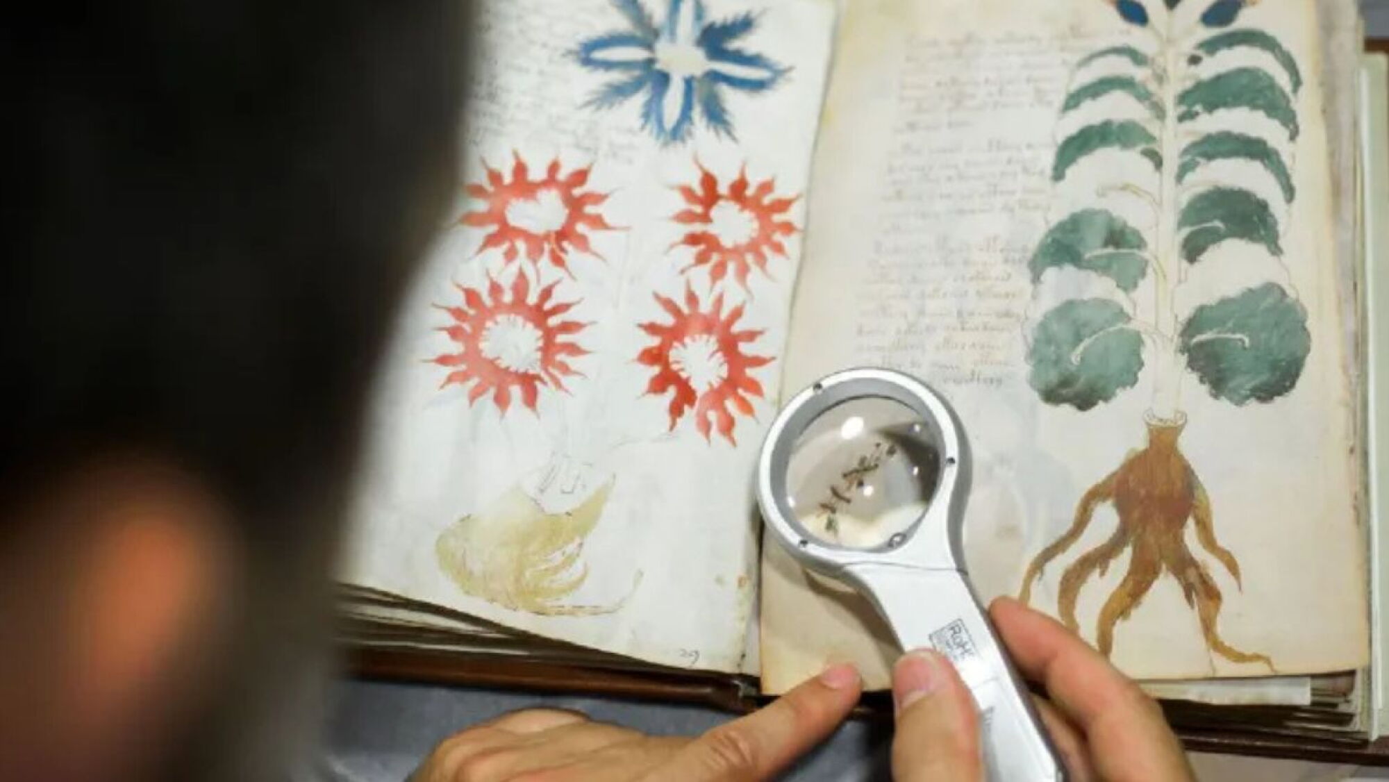 El Manuscrito Voynich: 7 datos fascinantes que siguen sin explicación