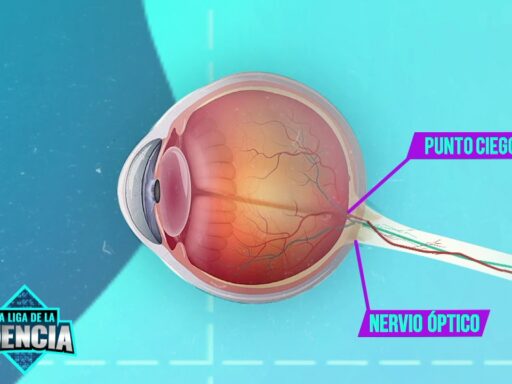 El punto ciego del ojo humano: 5 datos que te sorprenderán